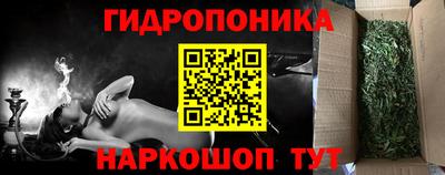 СК Краснодар