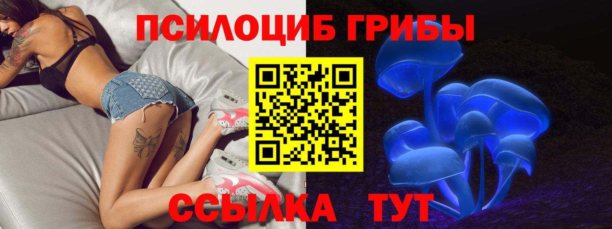 Галлюциногенные грибы Psilocybe Ессентуки